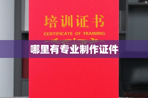 怀宁哪里有专业制作证件