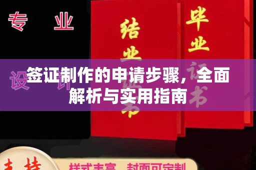 怀宁签证制作的申请步骤，全面解析与实用指南