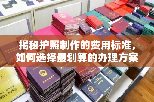 怀宁揭秘护照制作的费用标准，如何选择最划算的办理方案？
