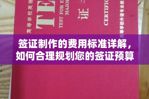怀宁签证制作的费用标准详解，如何合理规划您的签证预算