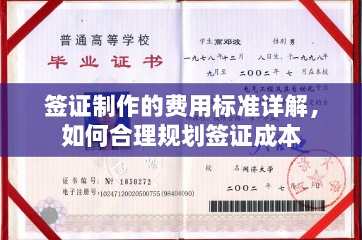 怀宁签证制作的费用标准详解，如何合理规划签证成本